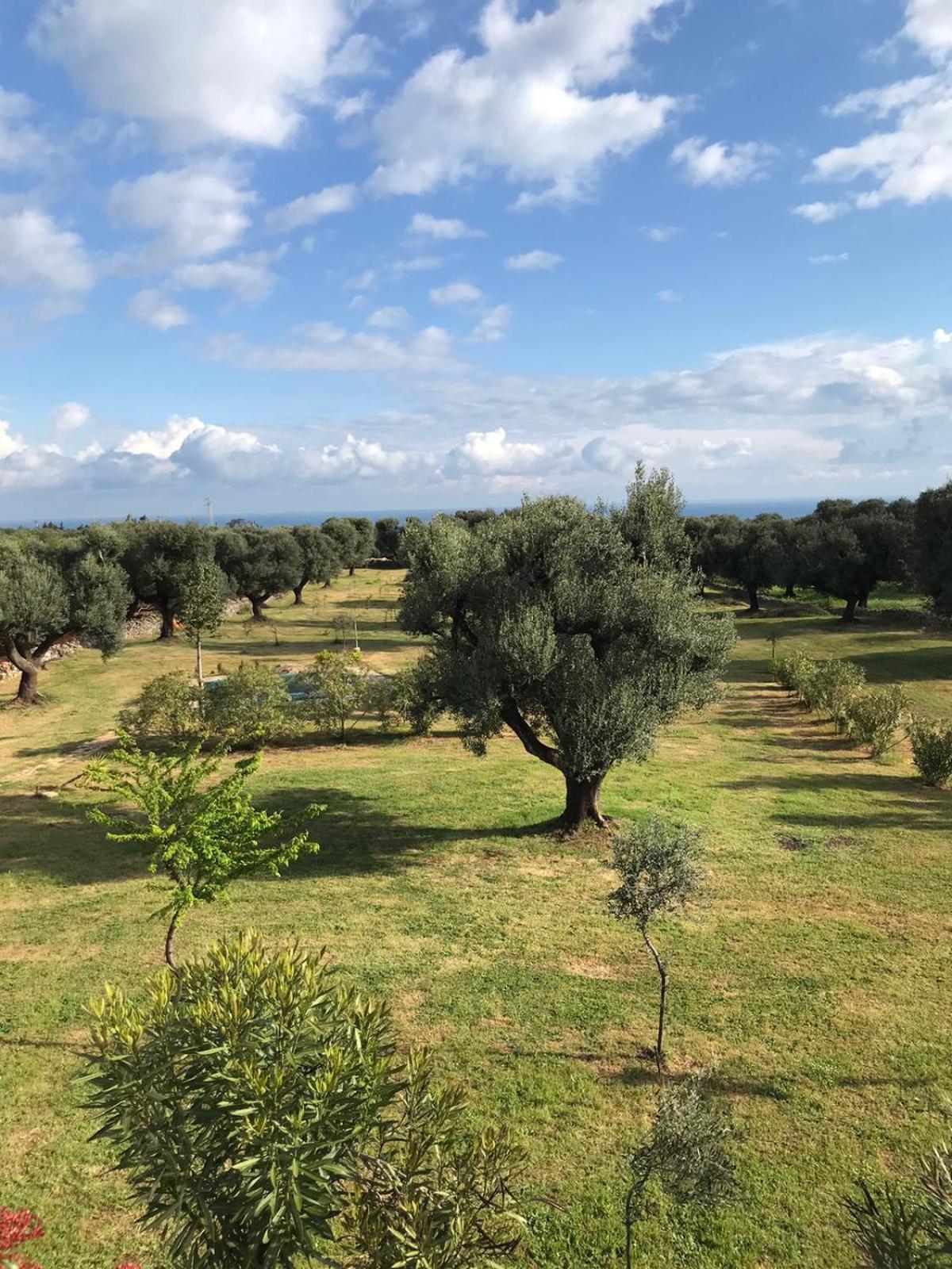 Sol Invictus Est Villa Serranova ภายนอก รูปภาพ