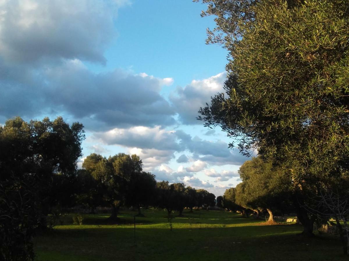 Sol Invictus Est Villa Serranova ภายนอก รูปภาพ