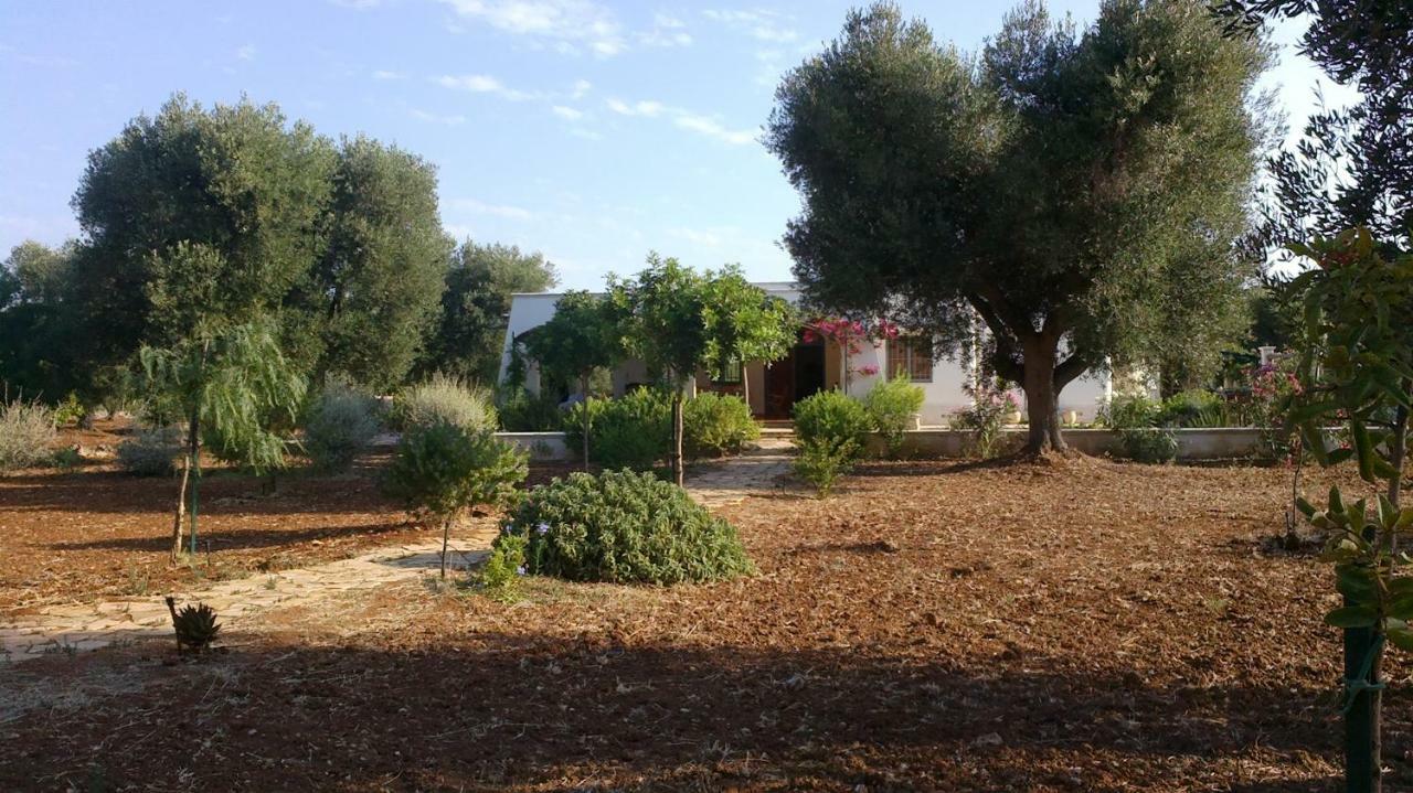 Sol Invictus Est Villa Serranova ภายนอก รูปภาพ
