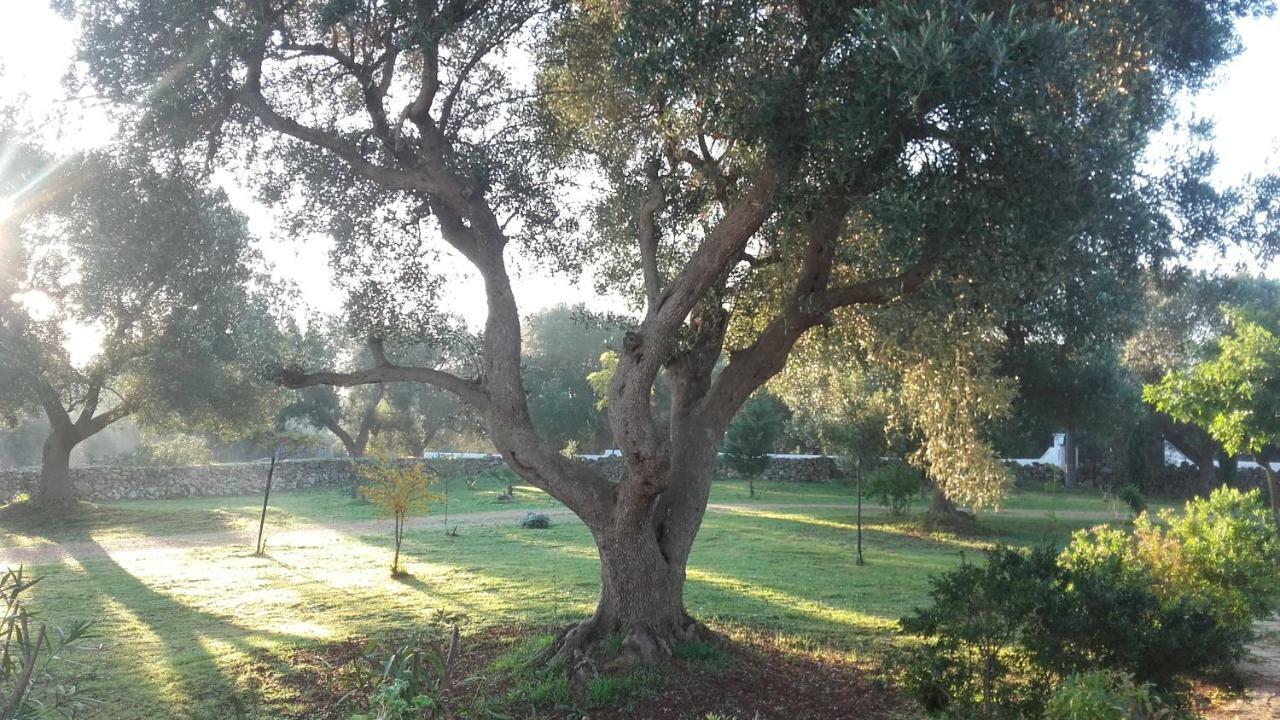 Sol Invictus Est Villa Serranova ภายนอก รูปภาพ