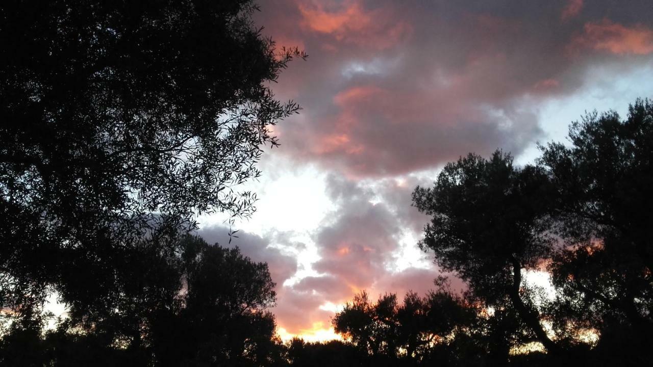 Sol Invictus Est Villa Serranova ภายนอก รูปภาพ